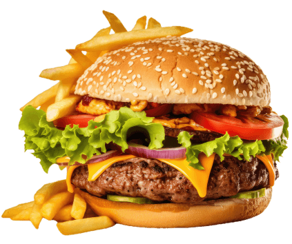burger and frenchfries
